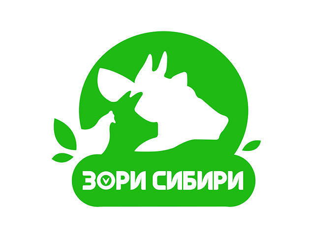 логотип для компании "зори сибири"