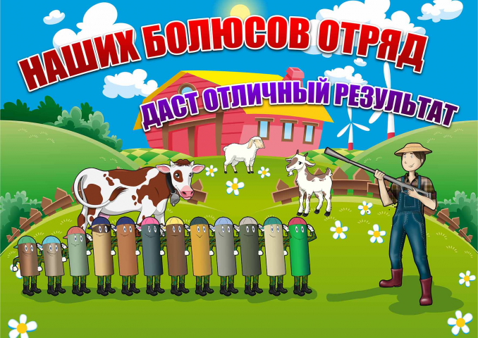 Плакат рекламы болюсов