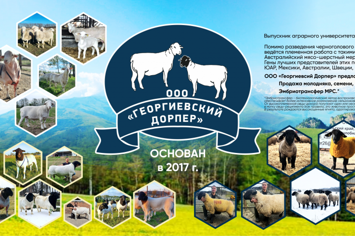 Баннер 1250 х 8000