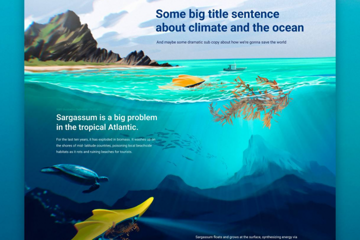 Разработка сайта для компании контроля морских обитателей