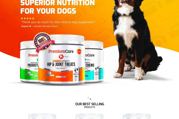 Разработка сайда компании премиум питания для собак