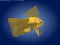 Золотая рыбка