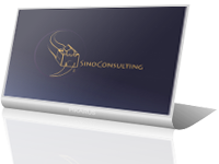 SinoConsulting