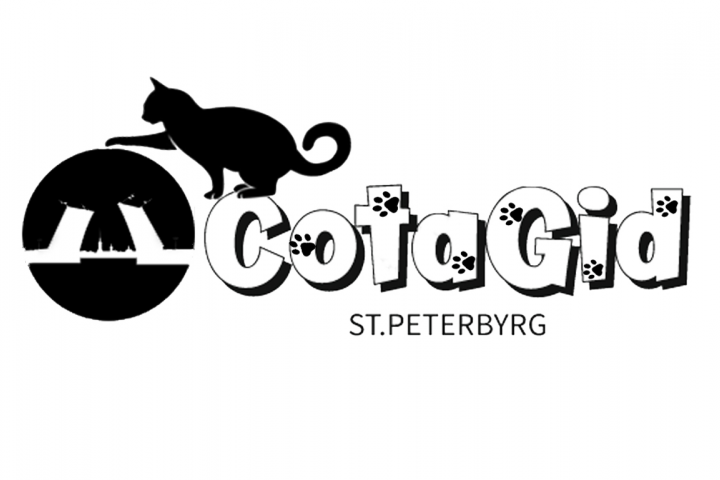 Группа по проведению Экскурсий в СПб