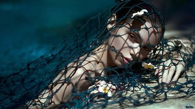 pic2909740.jpg