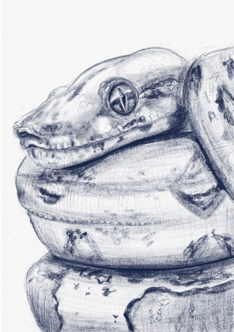 Sketch