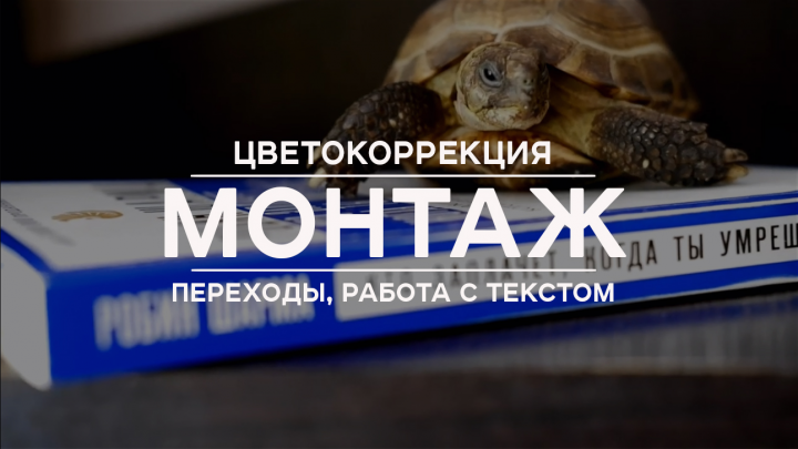 Цветокоррекция, «видео с текстом», переходы, монтаж