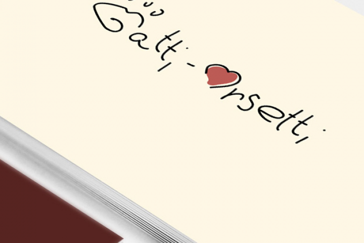 Gatti-Orsetti (лого приюта кошек в италии)