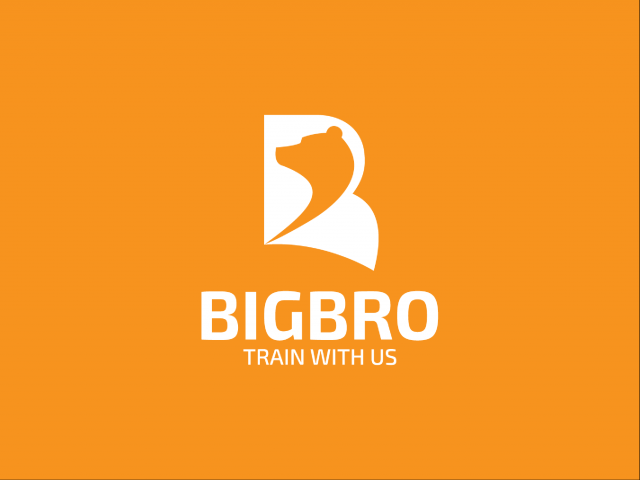 BigBro