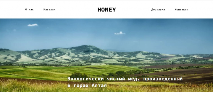 Landing для магазина Мёда