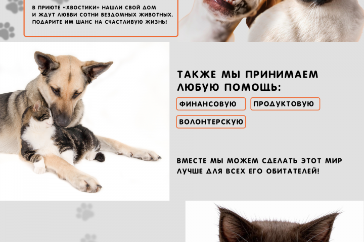 Хвостики