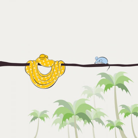 Для лингвистической школы