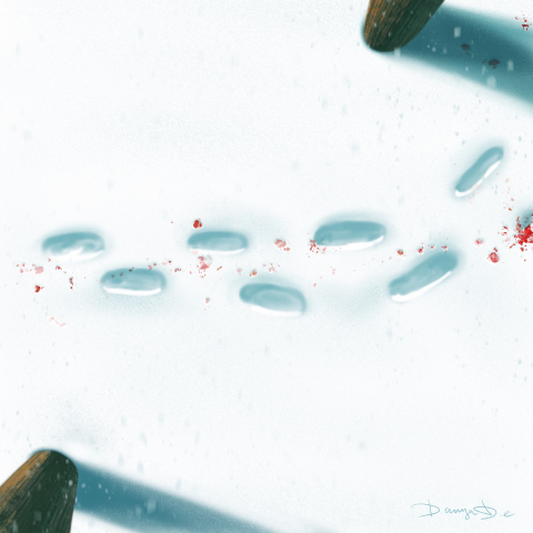 По следам твоим