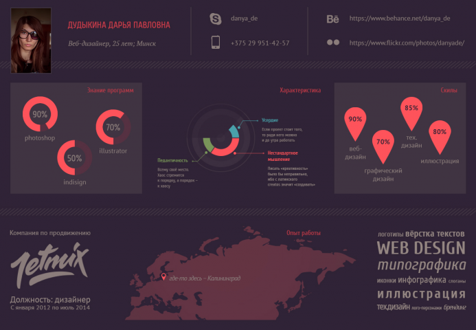 Резюме в виде инфографики