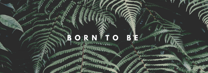 Баннер для группы в ВК брендовой одежды Александра Тихомирова