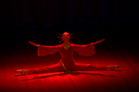 Хореографического коллектив