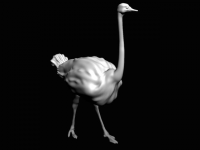 3D модель страуса