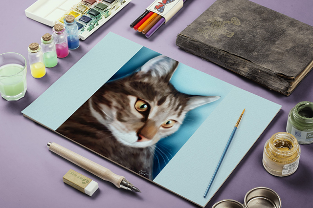Кот