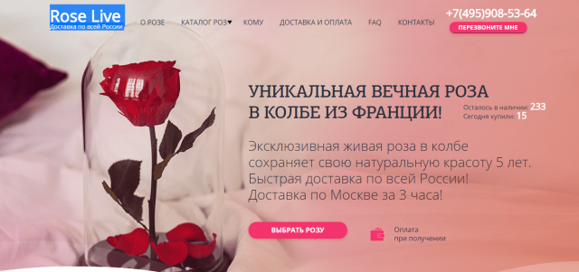 Rose Live. Доставка по всей России
