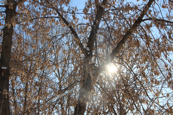 Работа 3903867