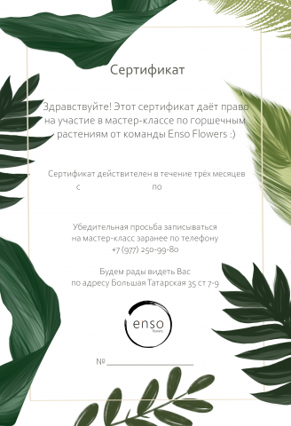 Сертификат на мастер-класс по горшечным растениям
