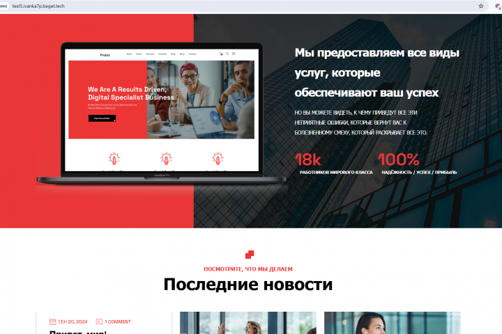 Готовый сайт на WordPress для вашего бизнеса или агентства