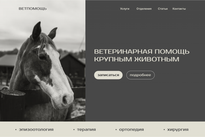 Дизайн сайта для ветеринарной клиники