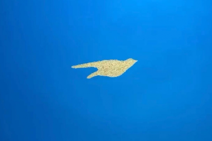 Птичка