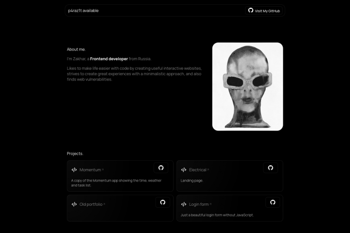 Портфолио