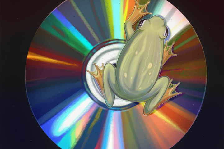 Froggy