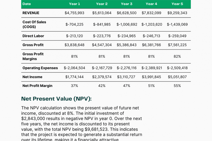 Бизнес-план центра для игры в пиклбол