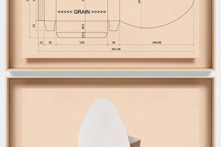 Упаковка в виде куриного яйца