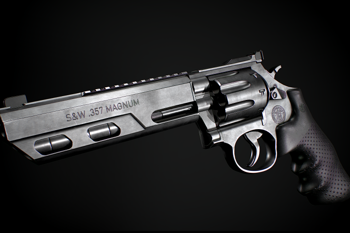 Smith & Wesson Model 686 Competitor