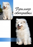 Работа 1373341