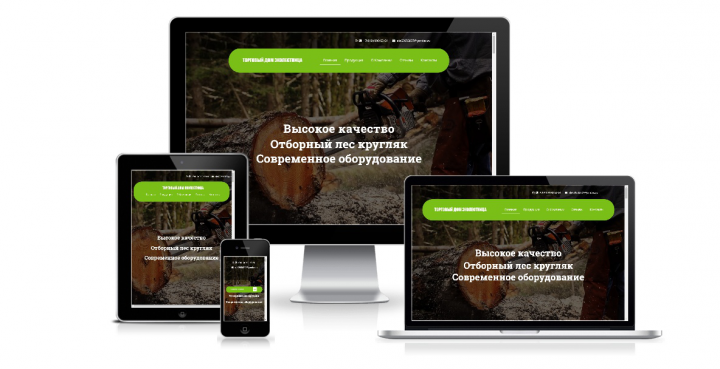 Торговый дом эколестница