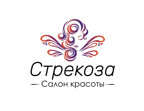 Логотип "Стрекоза"