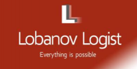 Логистический аудит производственной  компании.