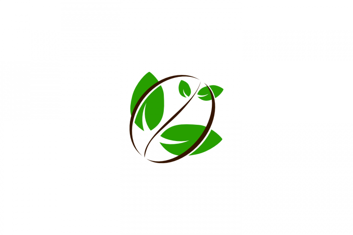coffee tree