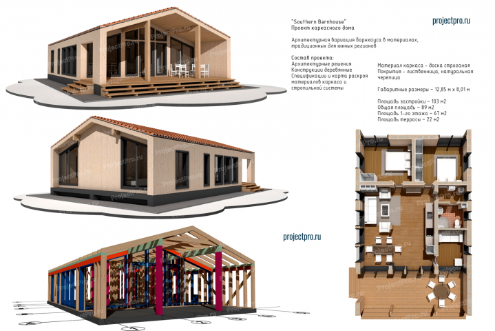 T-040. ”Southern Barnhouse”. Вариация барнхауса. АР, КД.