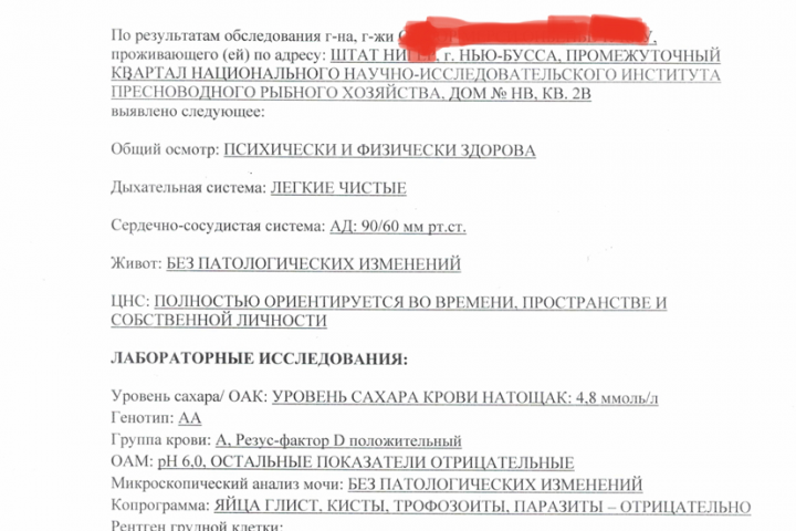 Перевод справки с английского языка