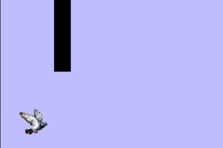 Flappy pigeon