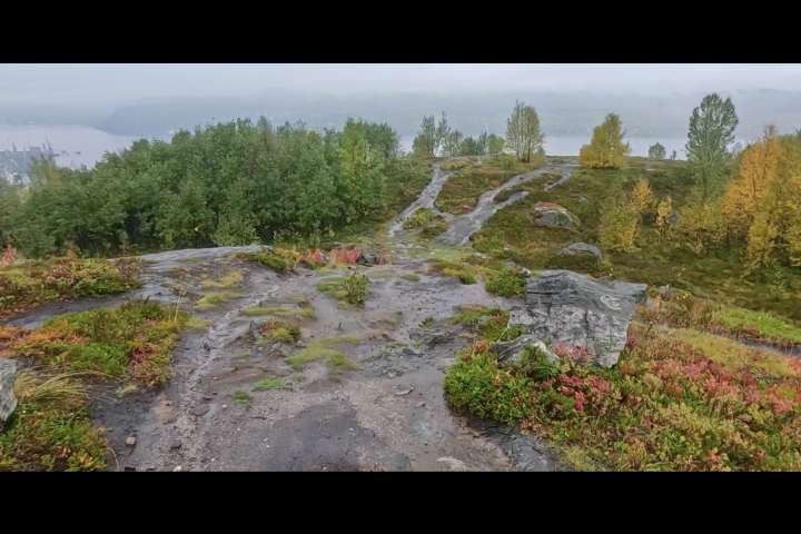 Отчет о поездке