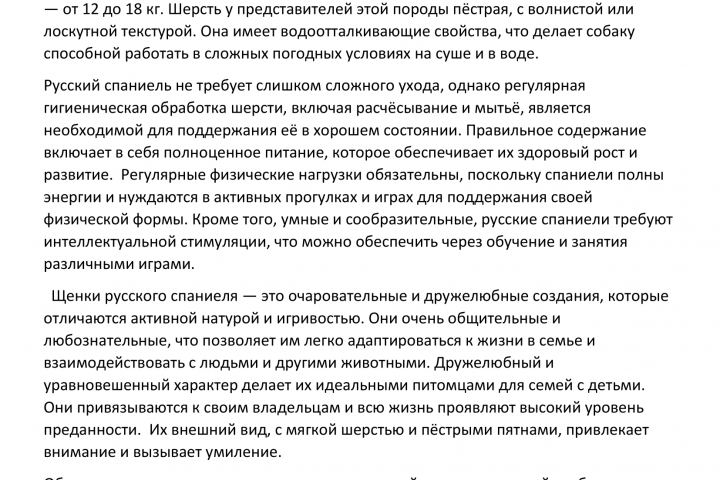 Щенки русского спаниеля