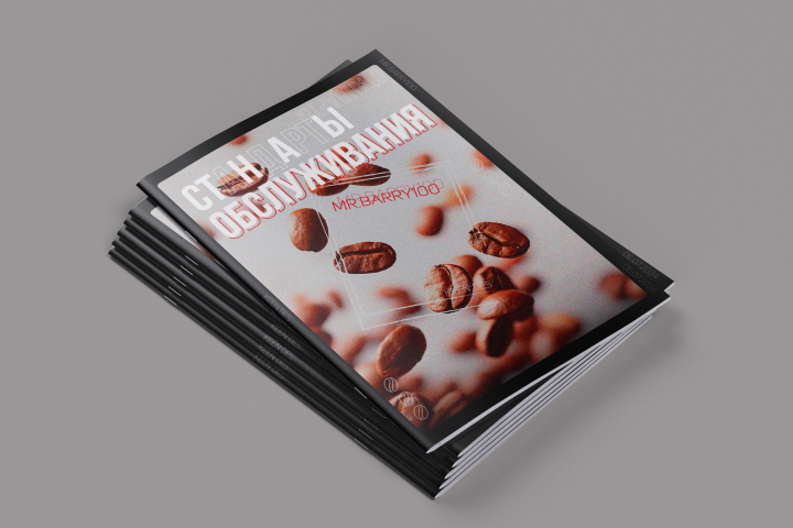 Регламент "mrBarry100"