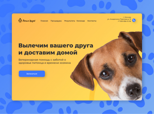 Лендинг для главной ветеринарной клиники