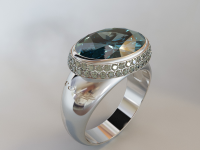 Ring_2014_