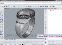 Ring_2014