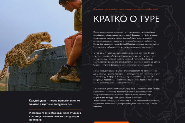 Сайт ТУРОВ
