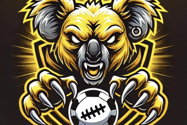 Логотип футбольной команды