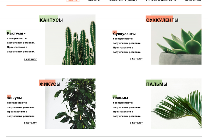 Дизайн сайта